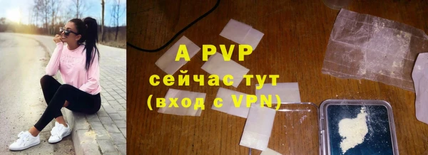 стаф Арсеньев