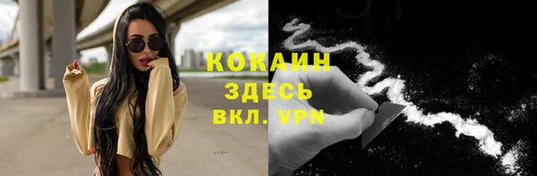 гашик Аркадак