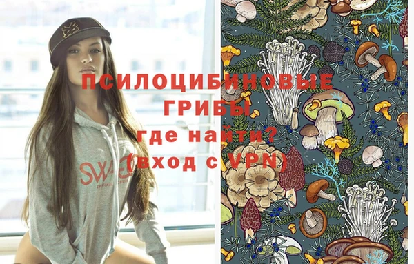 гашик Аркадак