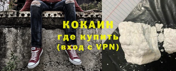 стаф Арсеньев
