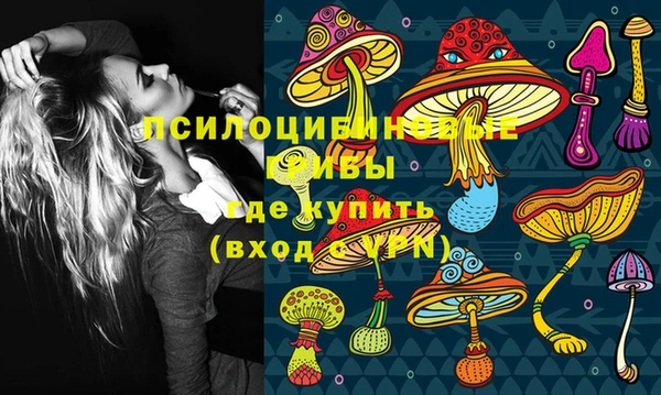 гашик Аркадак