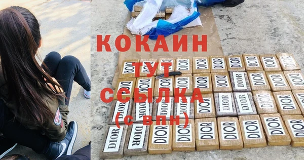гашик Аркадак