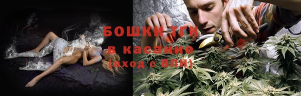 гашик Аркадак